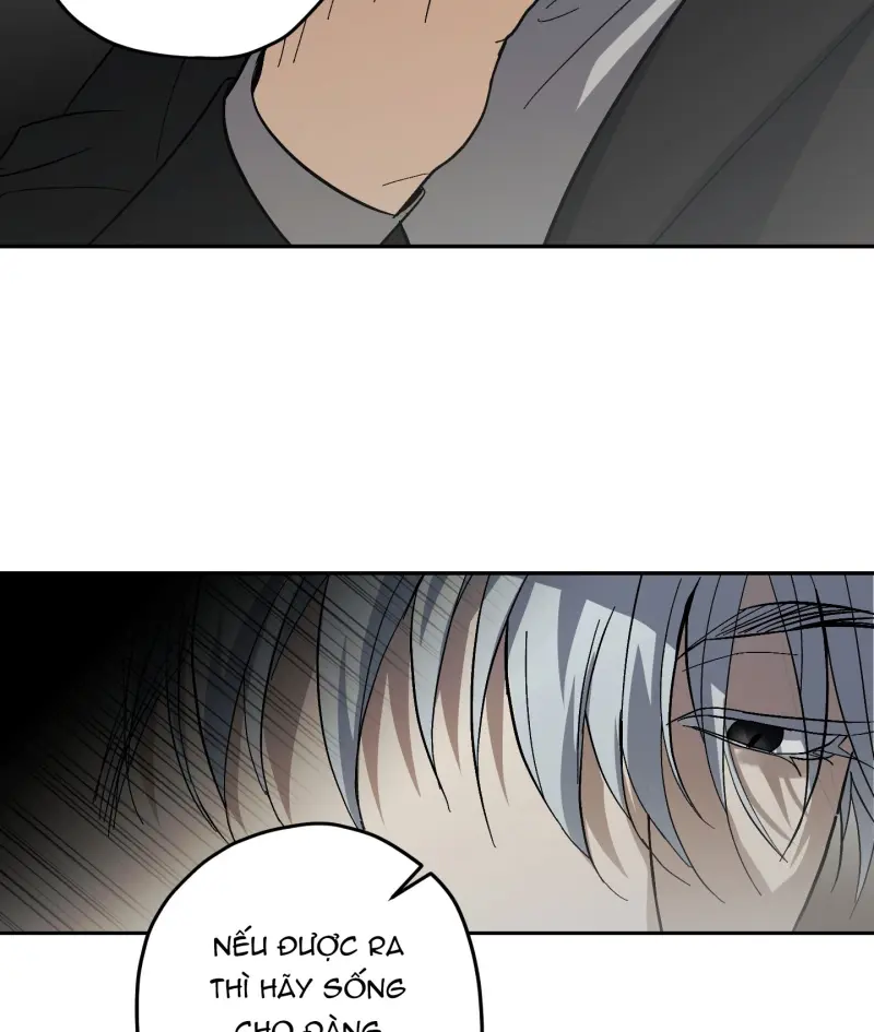 TƯƠNG XỨNG Chapter 15 - Next 