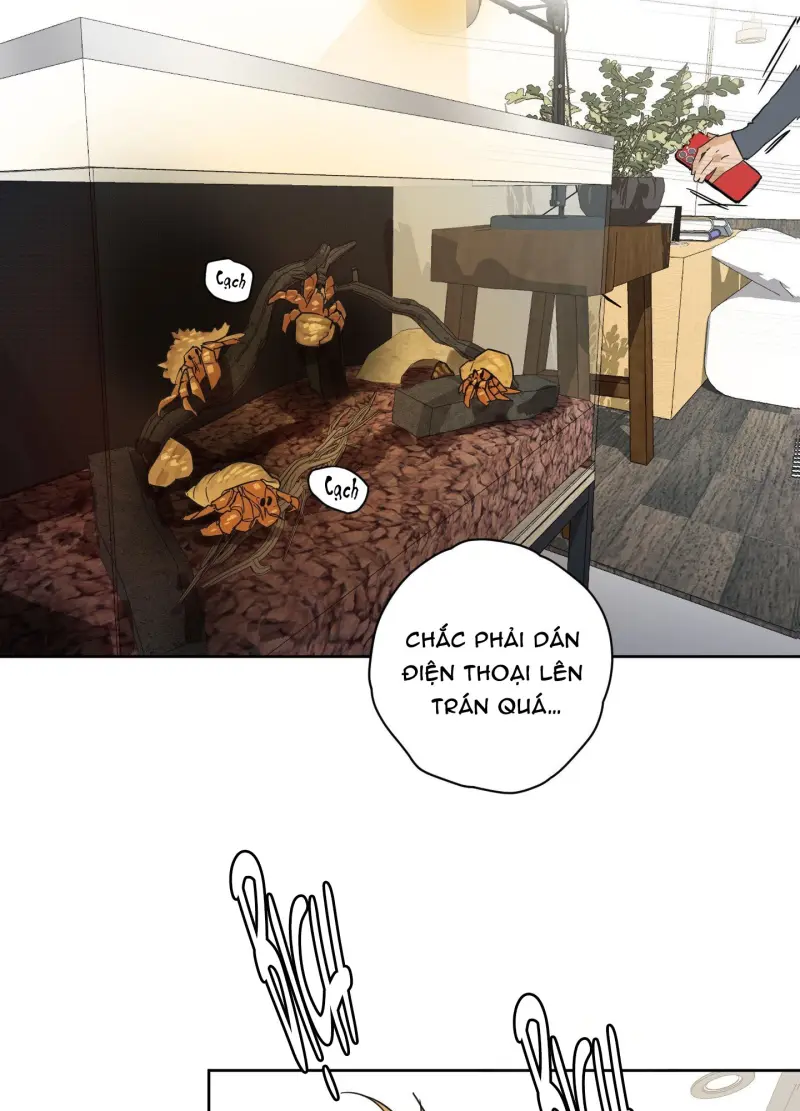 FULL BOOK Chapter 14 - Next 