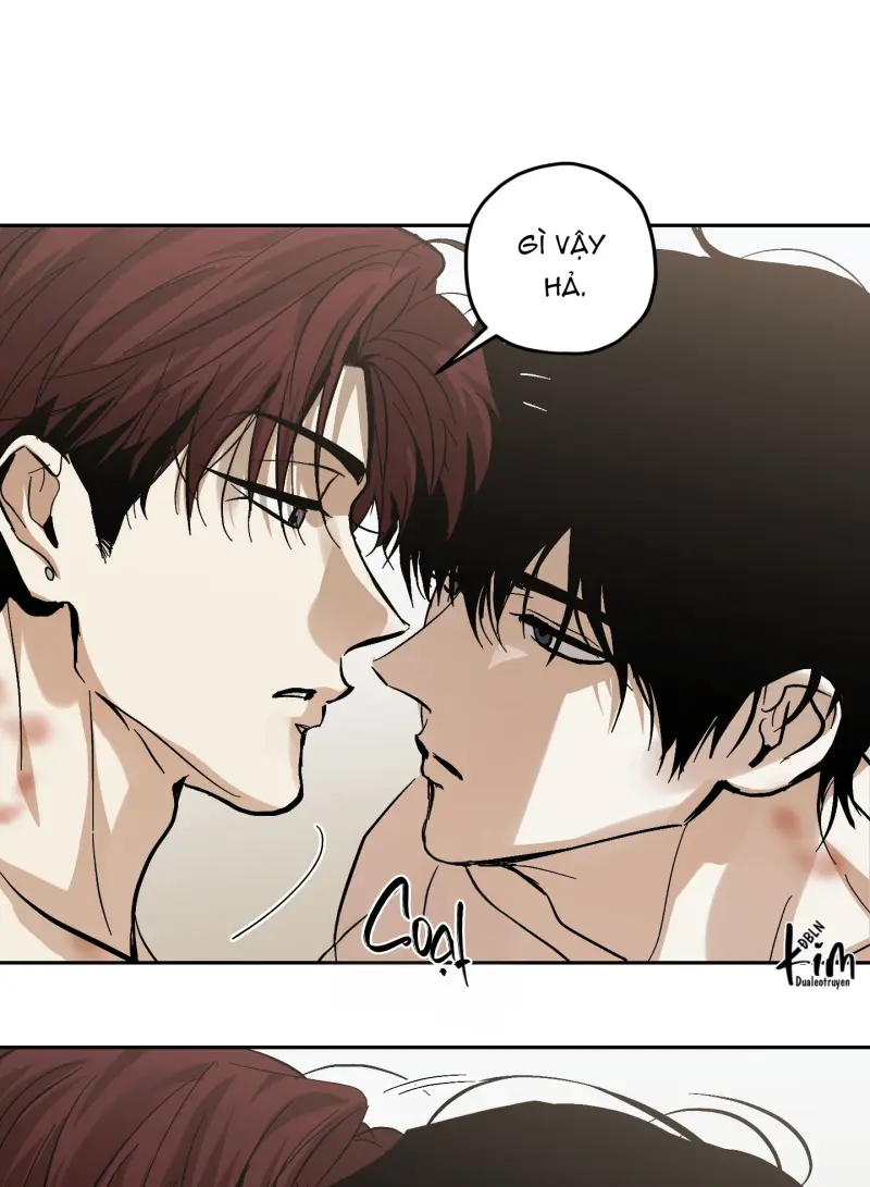 TƯƠNG XỨNG Chapter 15 - Next 