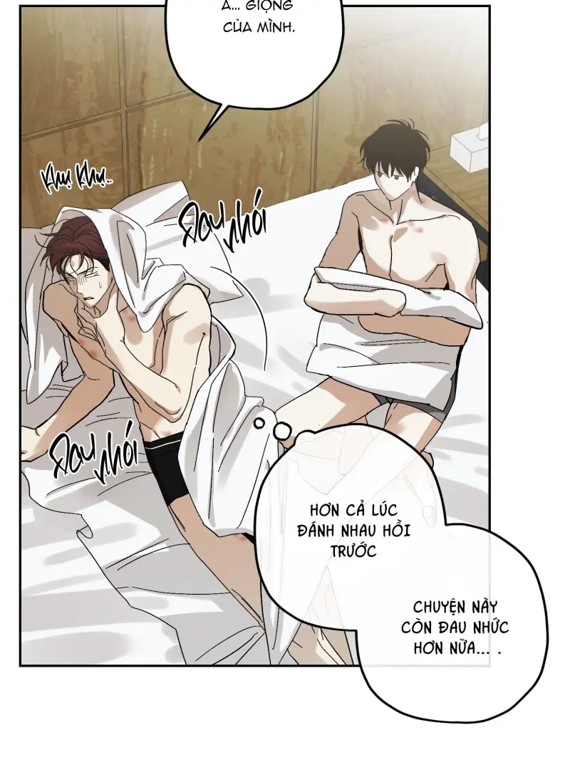 TƯƠNG XỨNG Chapter 15 - Next 