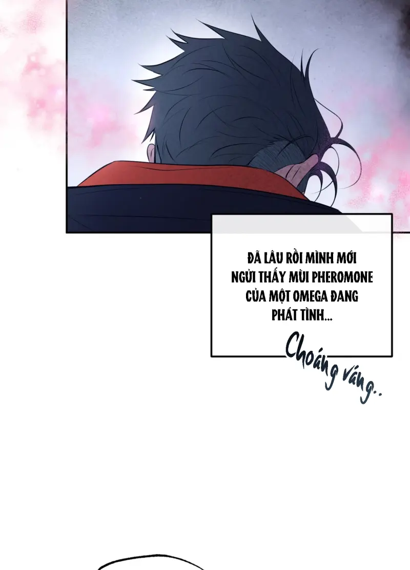 DAWNING LIGHT Chapter 10 - Trang 2