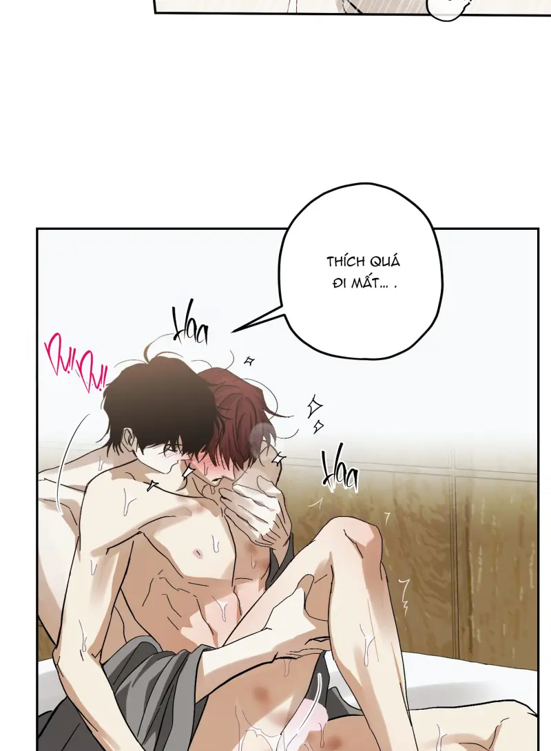 TƯƠNG XỨNG Chapter 15 - Next 