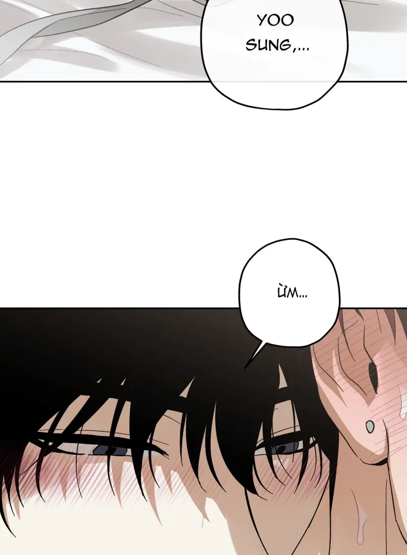 TƯƠNG XỨNG Chapter 15 - Next 