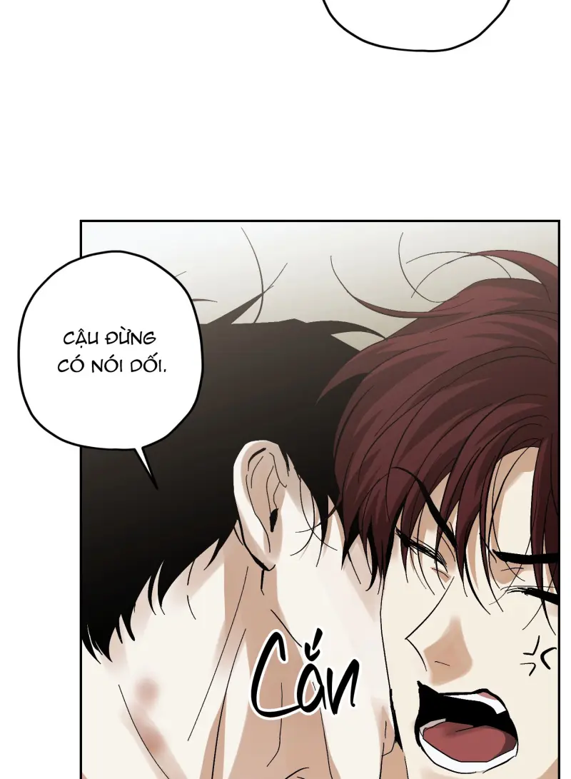 TƯƠNG XỨNG Chapter 15 - Next 