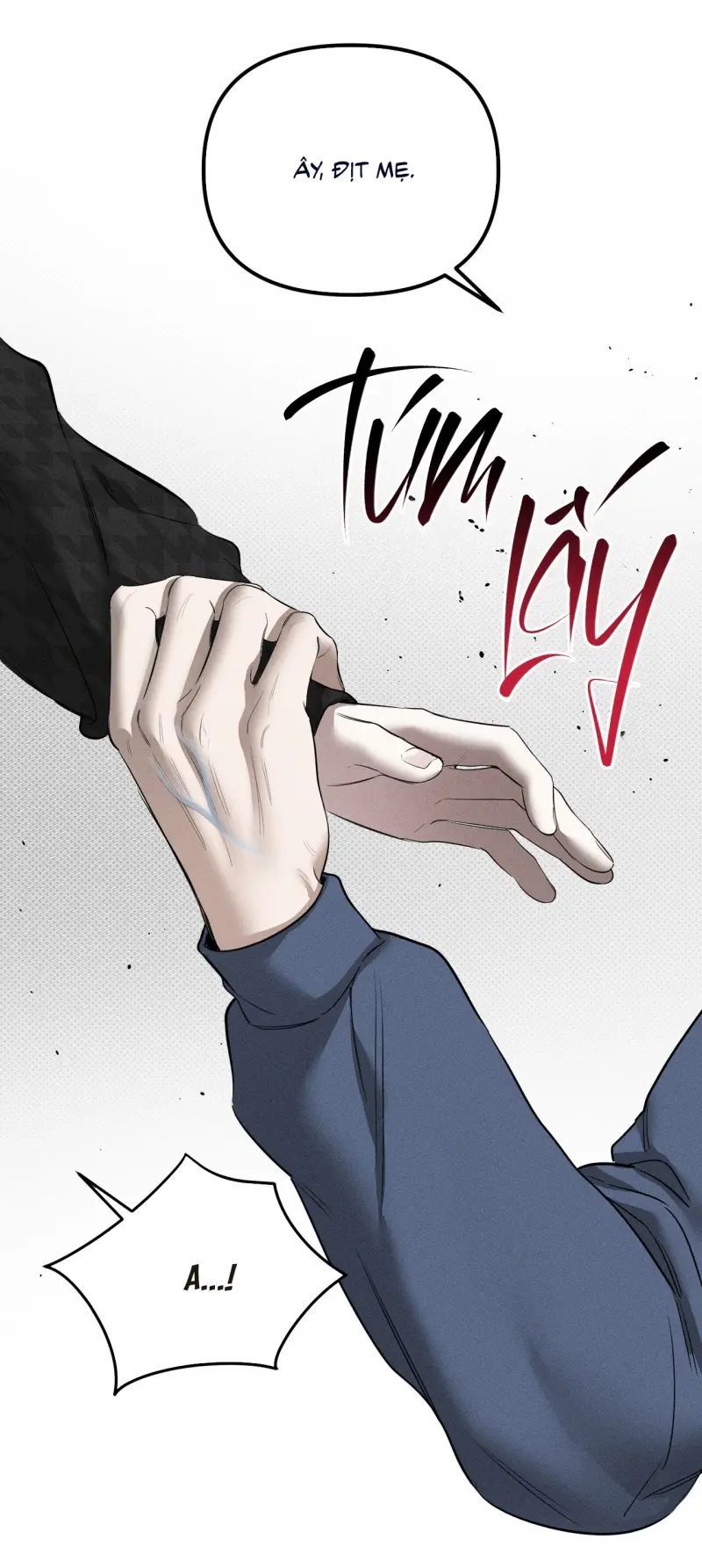 Kẻ Đánh Cắp Trái Tim Chapter 11 19+ - Trang 2