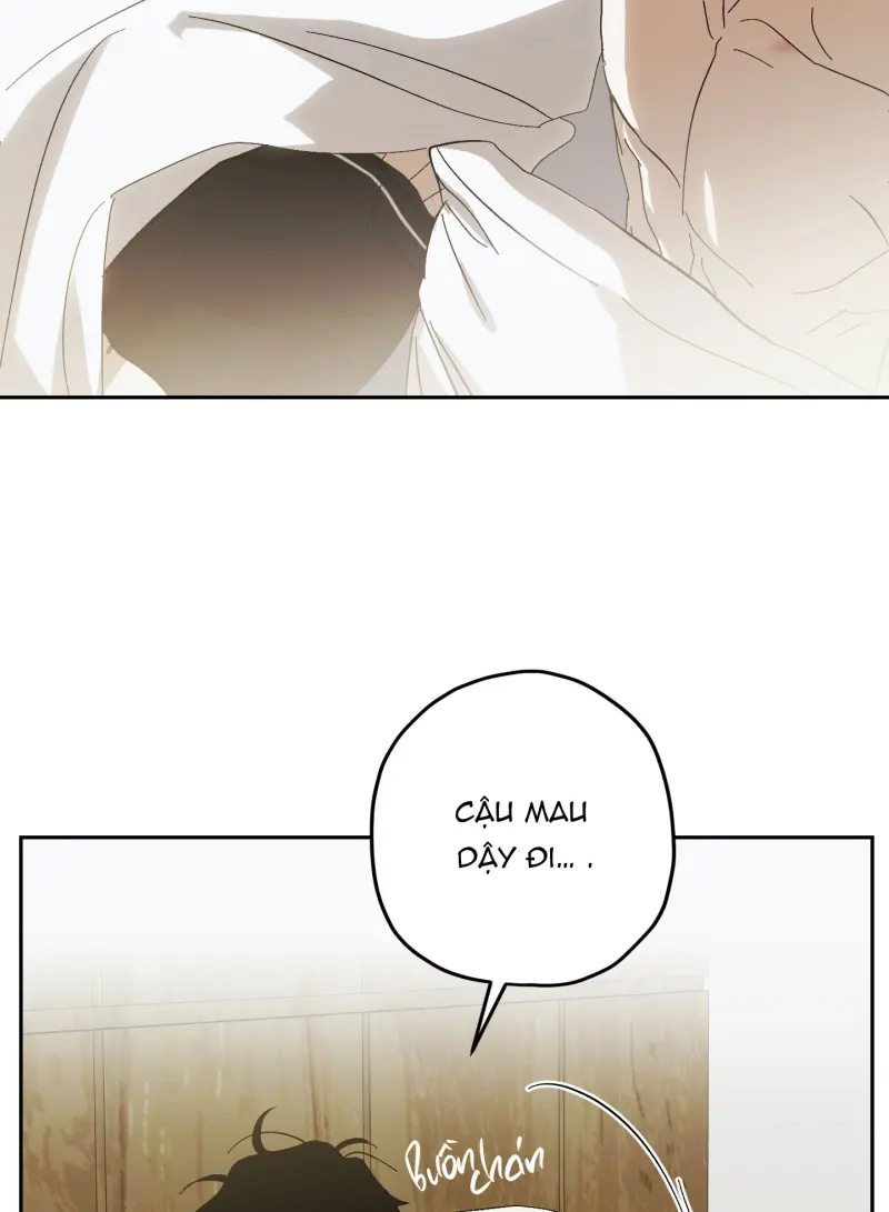 TƯƠNG XỨNG Chapter 15 - Next 