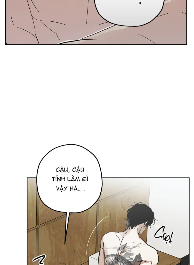 TƯƠNG XỨNG Chapter 15 - Next 