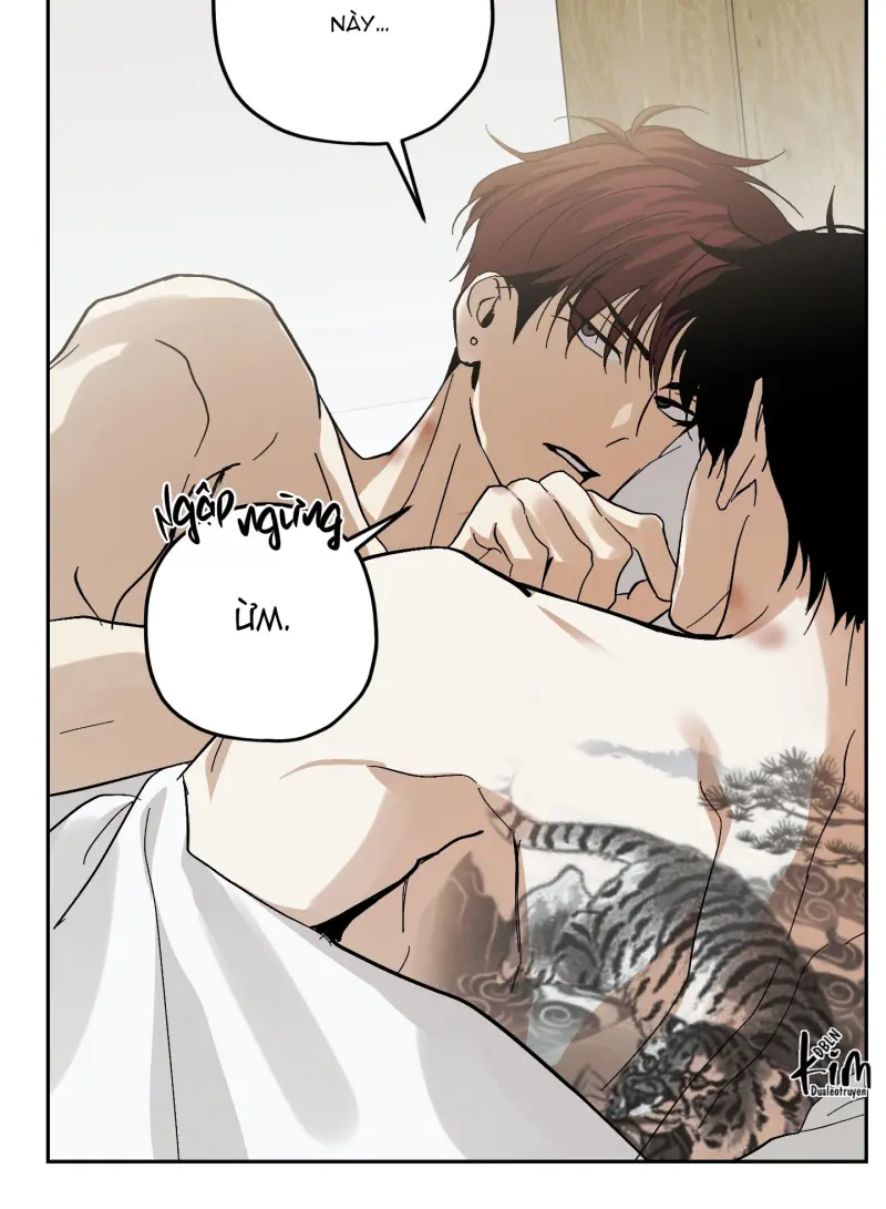 TƯƠNG XỨNG Chapter 15 - Next 