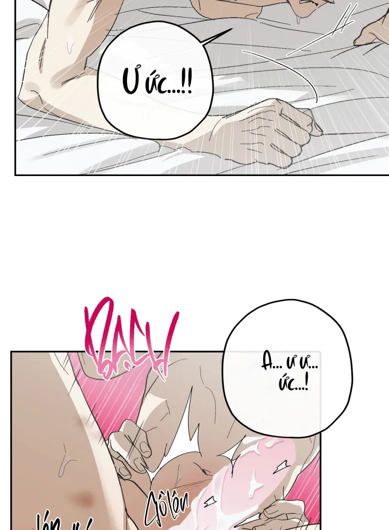 TƯƠNG XỨNG Chapter 15 - Next 