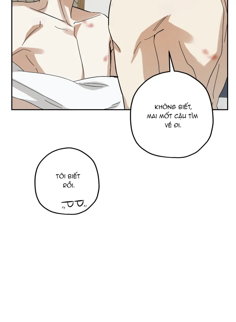 TƯƠNG XỨNG Chapter 15 - Next 