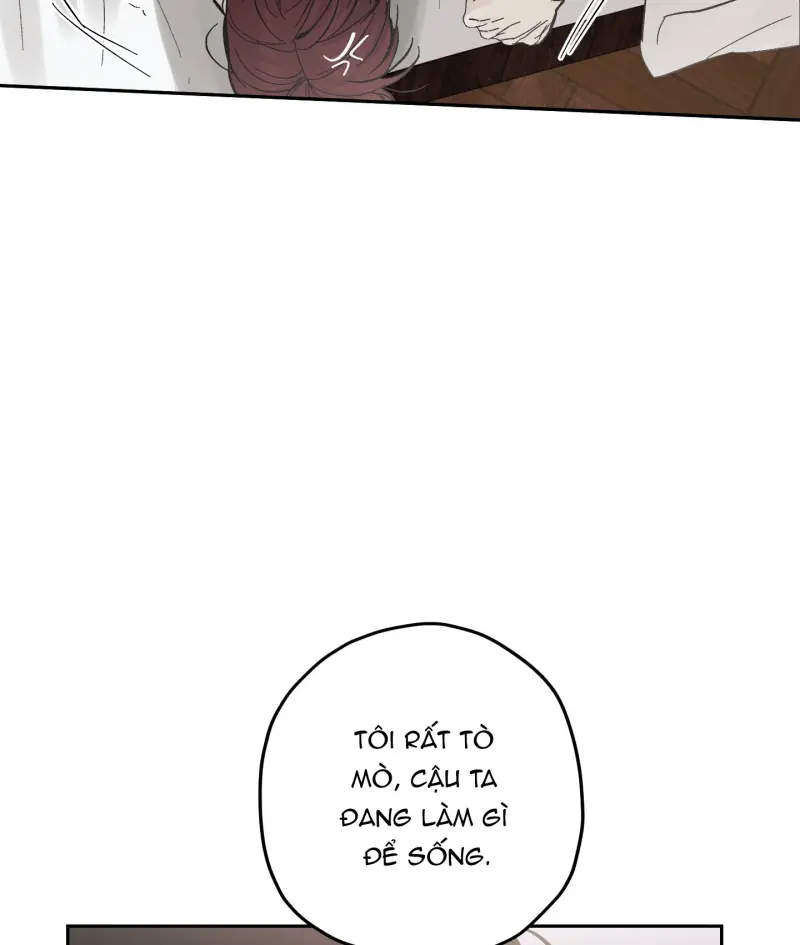 TƯƠNG XỨNG Chapter 15 - Next 