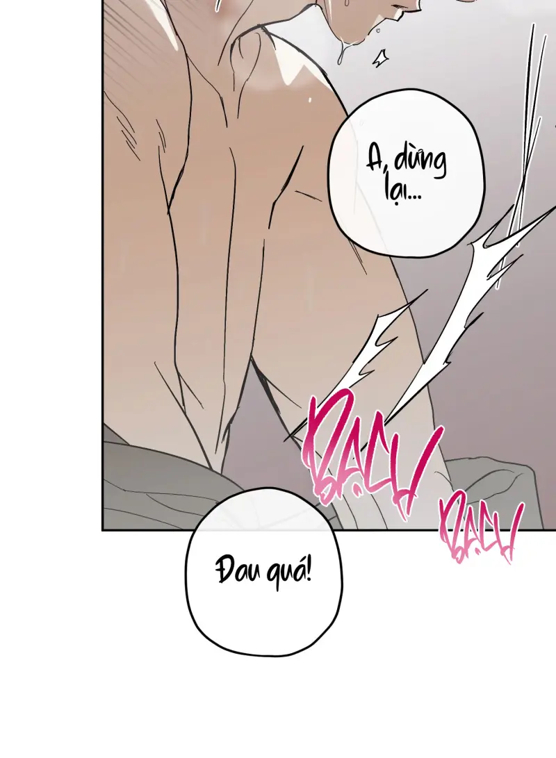 TƯƠNG XỨNG Chapter 15 - Next 