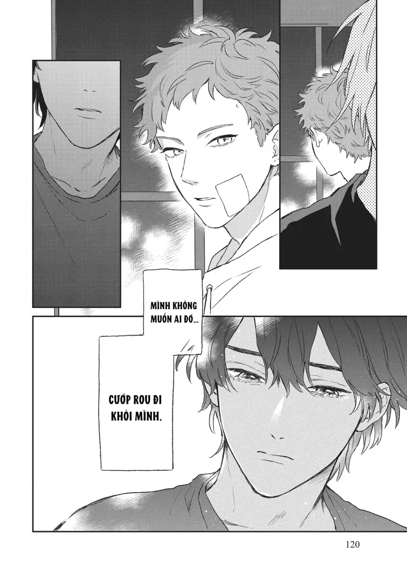 Tôi Đâu Định Yêu Cậu Chapter 9 - Next 