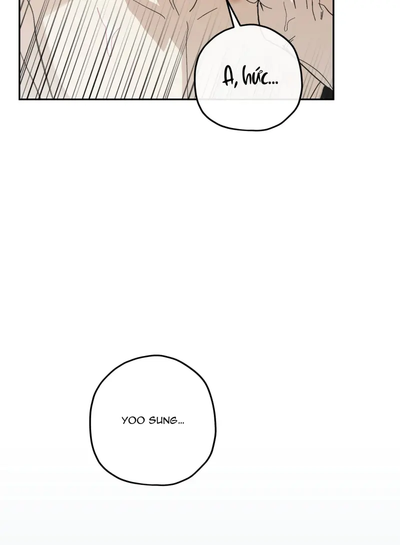 TƯƠNG XỨNG Chapter 15 - Next 