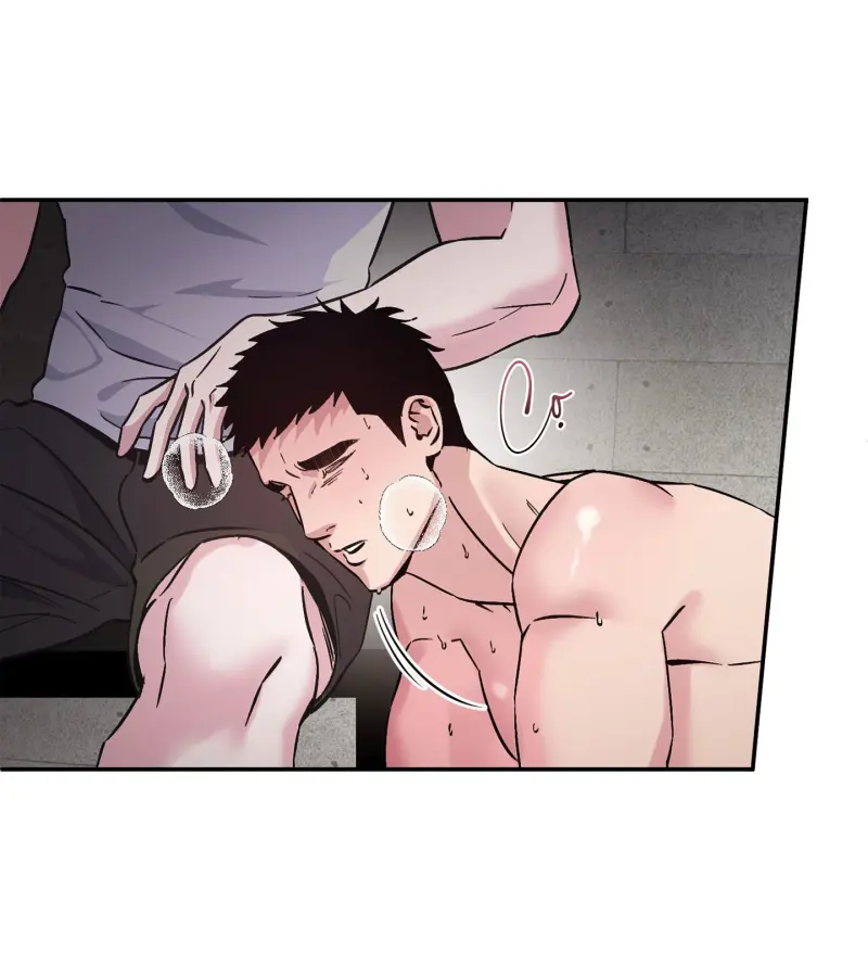 TUYỂN TẬP NHẤT THỤ ĐA CÔNG CỦA NHÀ KIM Chapter 49.3 hội viên 3 - Next Chapter 49.4 hội viên 4