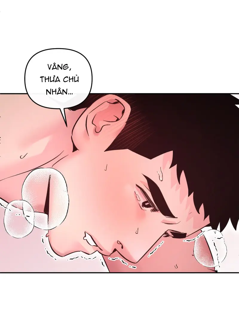 TUYỂN TẬP NHẤT THỤ ĐA CÔNG CỦA NHÀ KIM Chapter 49.3 hội viên 3 - Next Chapter 49.4 hội viên 4