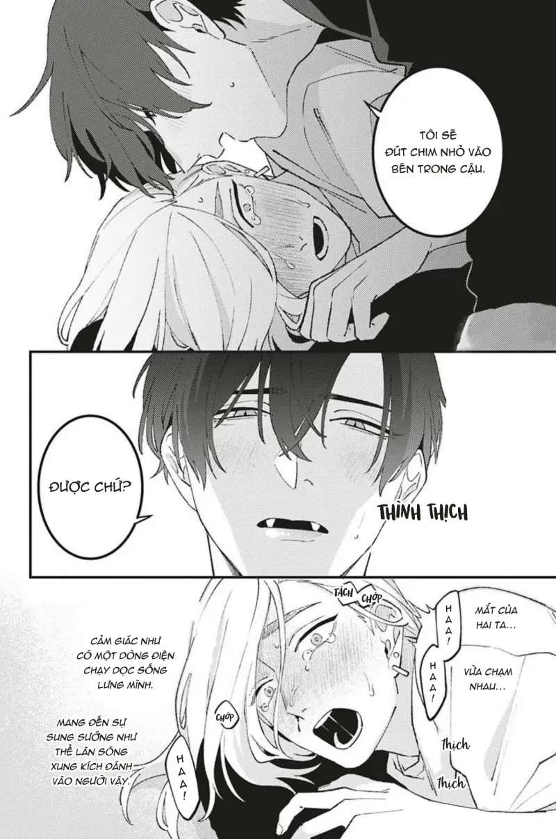Vết Cắn Và Ánh Huỳnh Thạch Chapter 3 Móc lít đỗ - Trang 2
