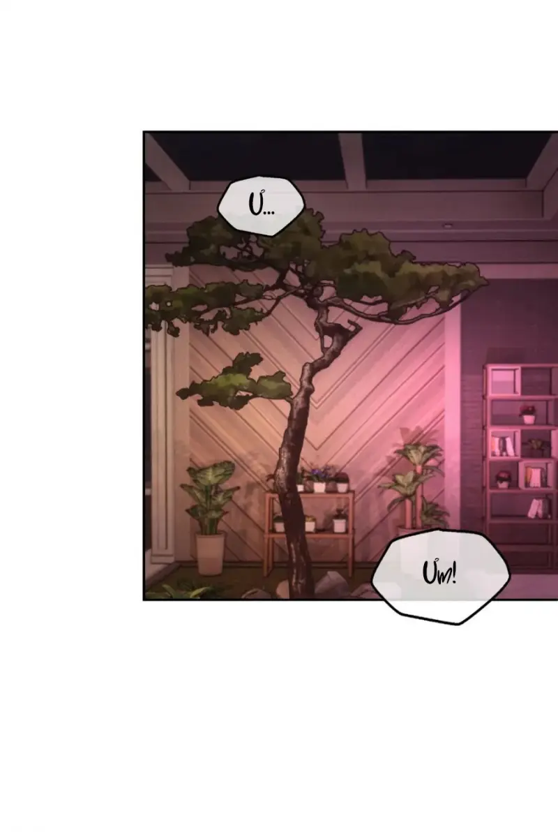 Đảo Ngược Kịch Bản Chapter 11 - Trang 2