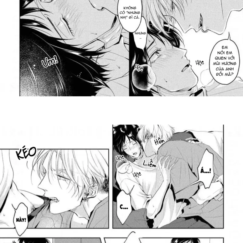 Mùi Hương Khó Cưỡng Chapter 7 H - Next Chapter 8 H