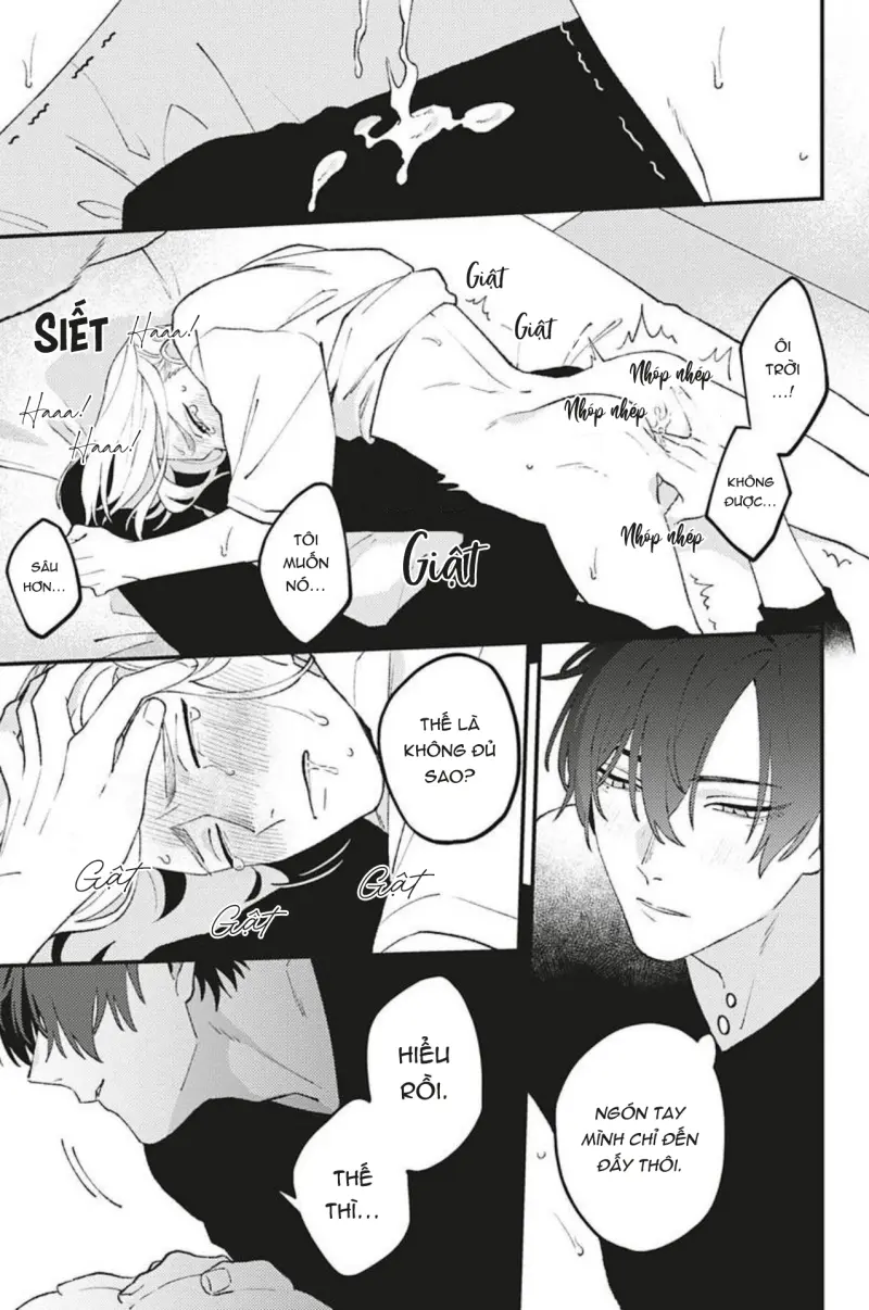 Vết Cắn Và Ánh Huỳnh Thạch Chapter 3 Móc lít đỗ - Trang 2