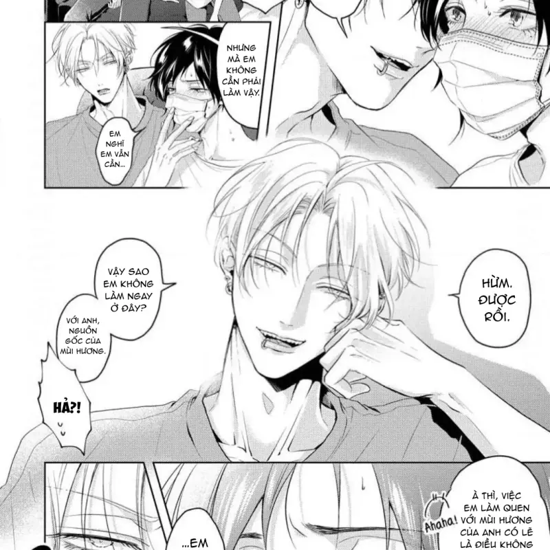 Mùi Hương Khó Cưỡng Chapter 7 H - Next Chapter 8 H