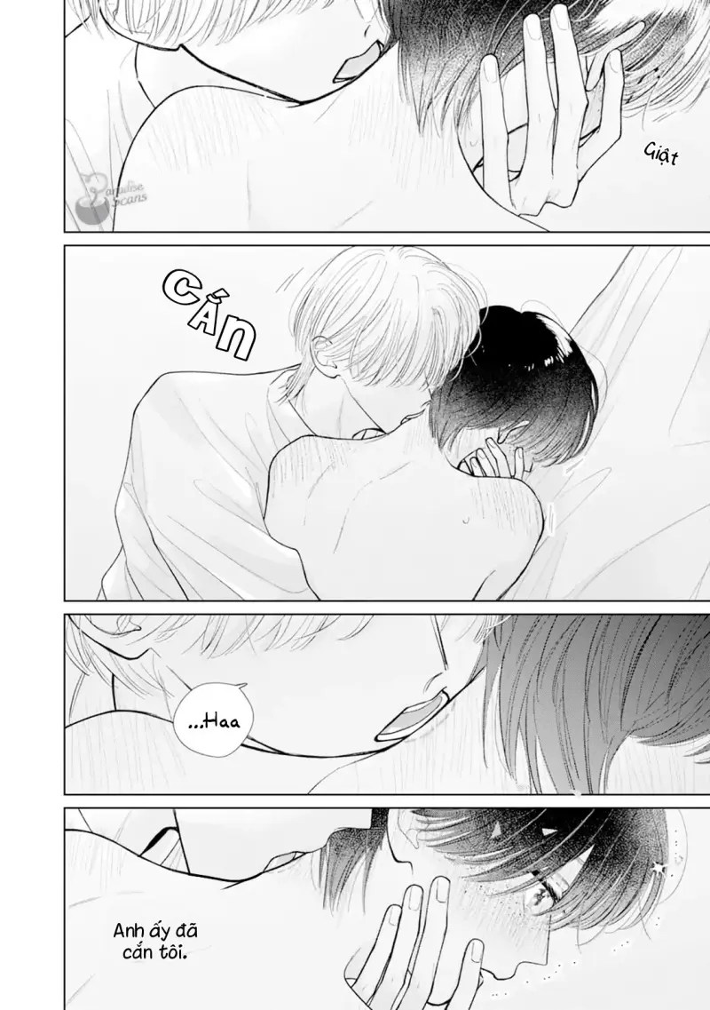 Bó Hoa Dành Dành Và Sắc Xanh Mong Manh Chapter 6 H - Trang 2