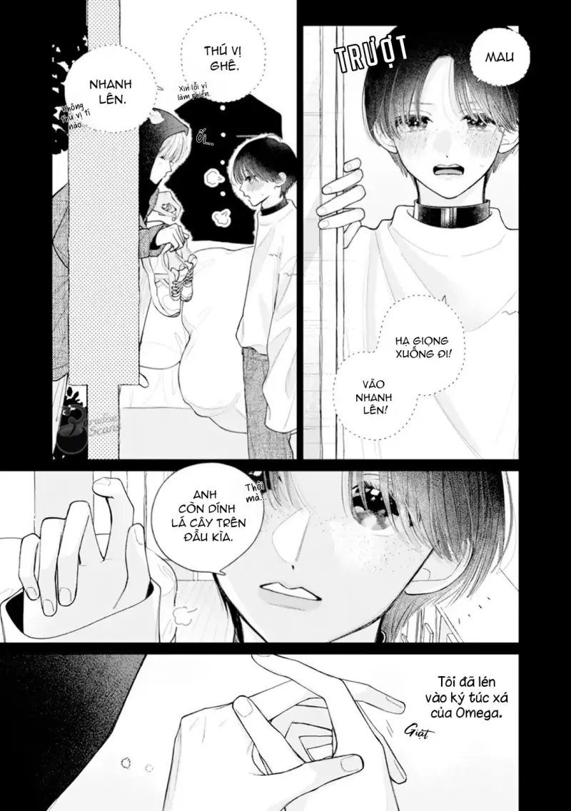 Bó Hoa Dành Dành Và Sắc Xanh Mong Manh Chapter 6 H - Trang 2