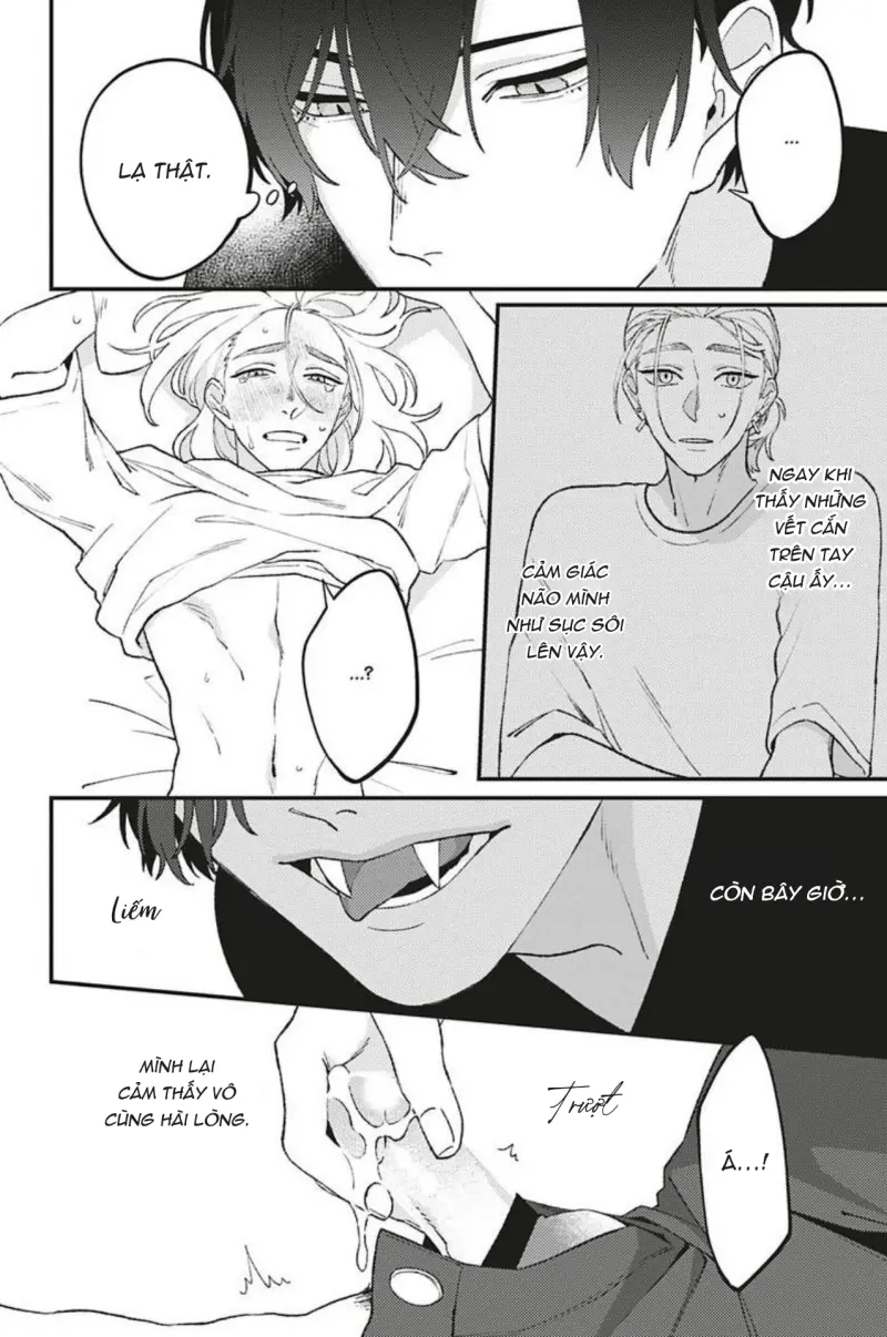 Vết Cắn Và Ánh Huỳnh Thạch Chapter 3 Móc lít đỗ - Trang 2
