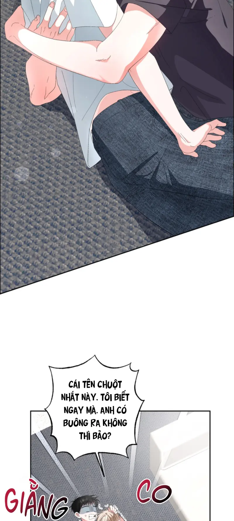 XIN HÃY YÊU THƯƠNG DÙ TÔI LÀ CHUỘT Chapter 10 - Trang 2