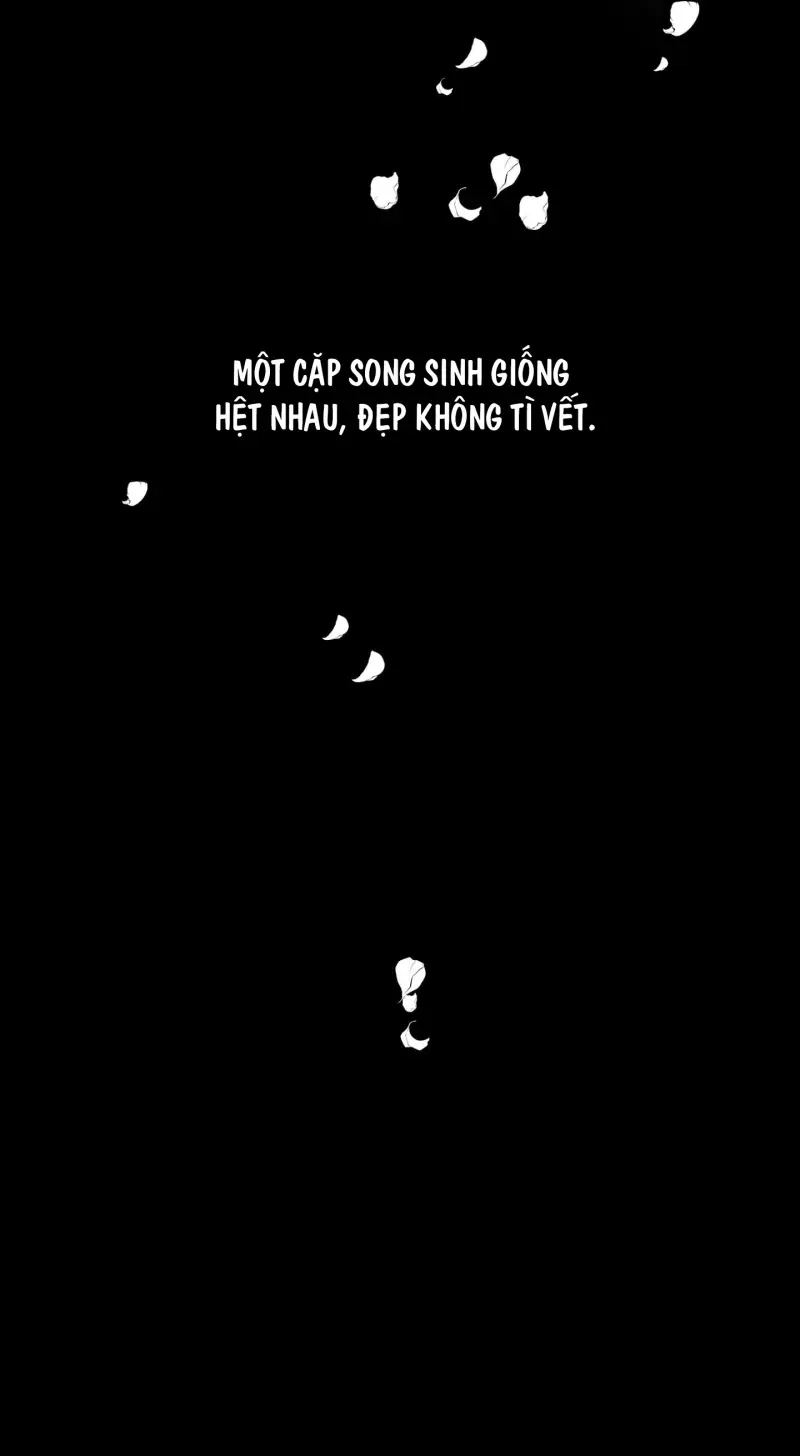 ÁNH MẮT LẠC NHỊP Chapter 1 - Trang 2