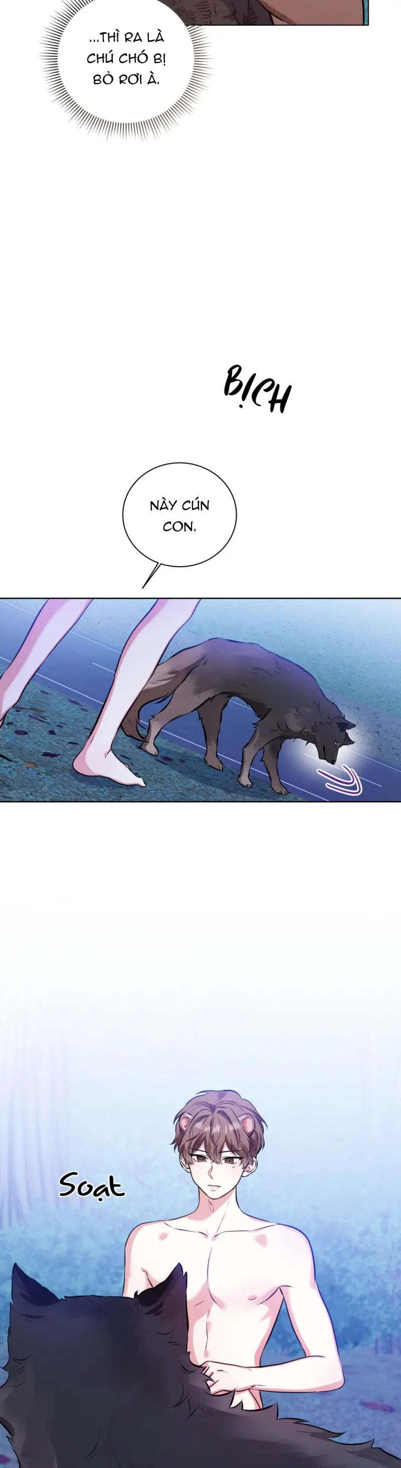 Cảnh báo: có thú dữ kìa Chapter 5 - Next Chapter 6