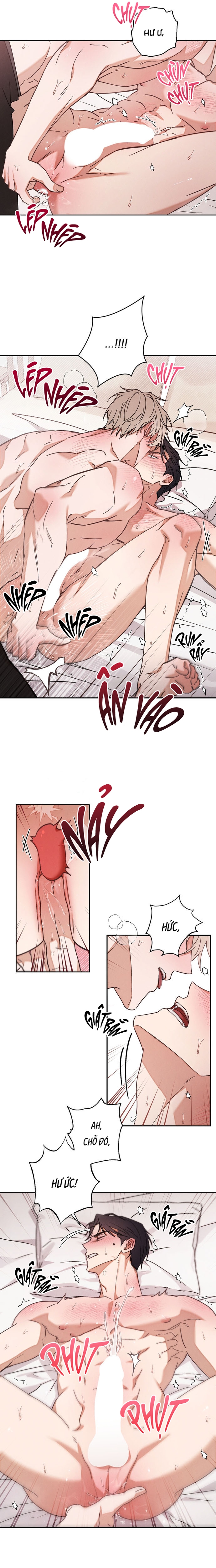 Idol Complex Chapter 1 H+ - Trang 2