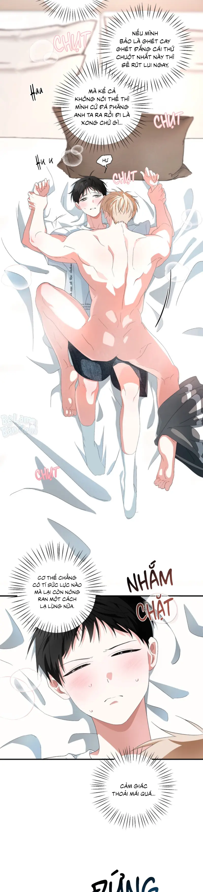 XIN HÃY YÊU THƯƠNG DÙ TÔI LÀ CHUỘT Chapter 11 H++ - Next 