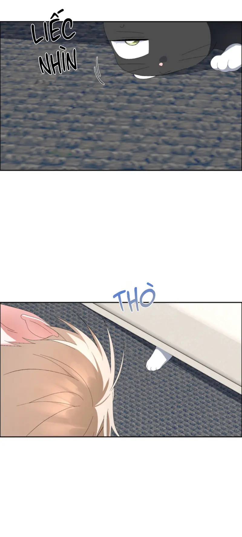 XIN HÃY YÊU THƯƠNG DÙ TÔI LÀ CHUỘT Chapter 10 - Trang 2