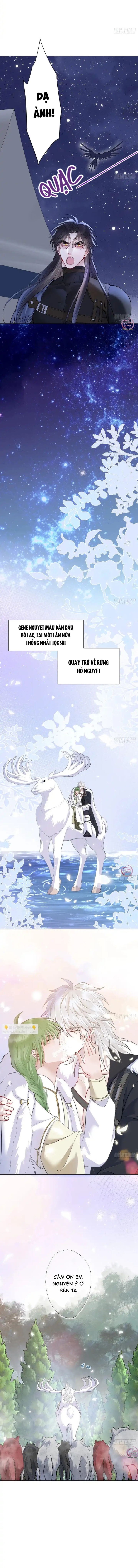 Bản Tình Ca Nụ Hôn Ngục Tù Chapter 50 - Trang 2