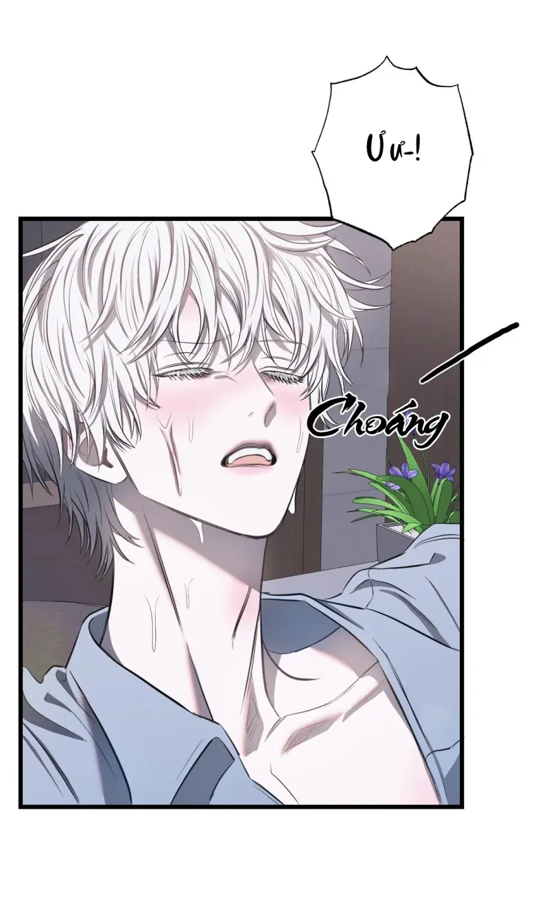 (ABO) VẬT TẾ THẦN Chapter 15 - Trang 2