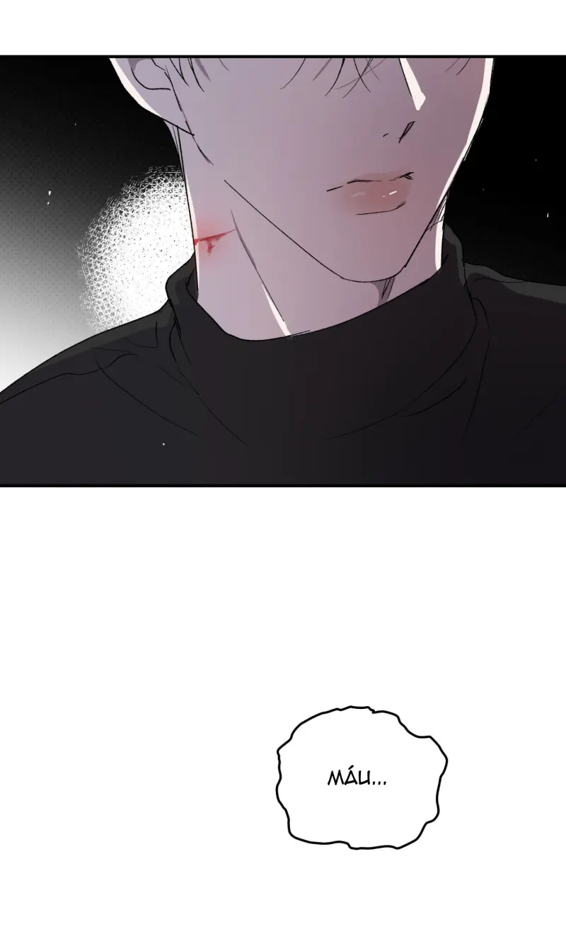 ÁNH MẮT LẠC NHỊP Chapter 1 - Trang 2