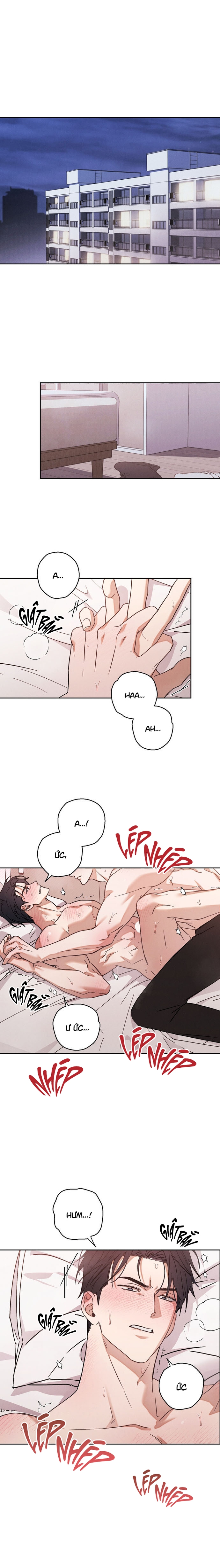 Idol Complex Chapter 1 H+ - Trang 2