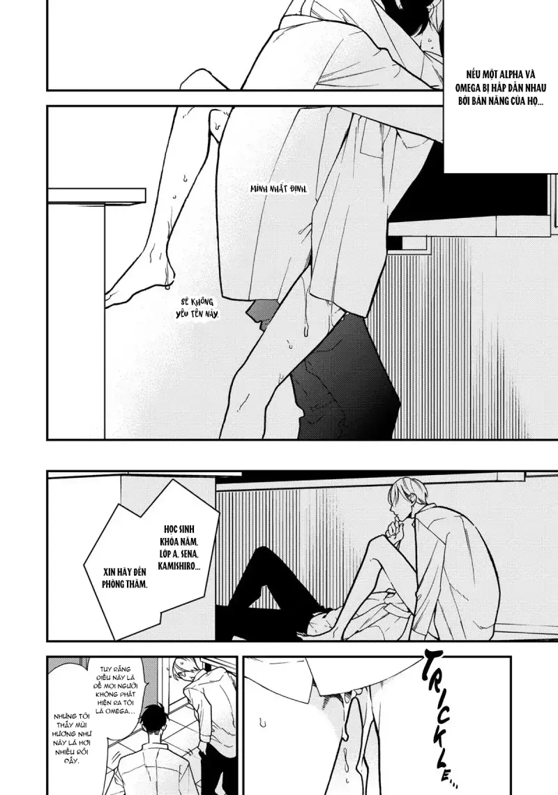 Chống lại alpha Chapter 7 - Trang 2