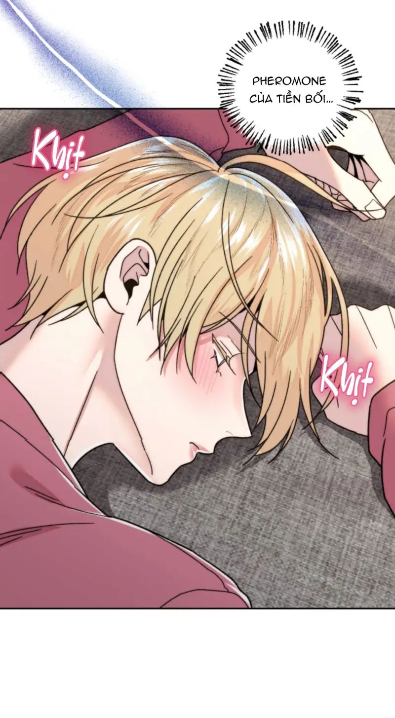 Người Hàng Xóm Bất Ngờ Chapter 17 - Next 