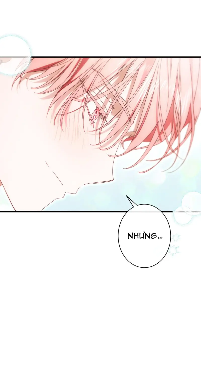 RẮN NUỐT LỰU Chapter 25 - Trang 2