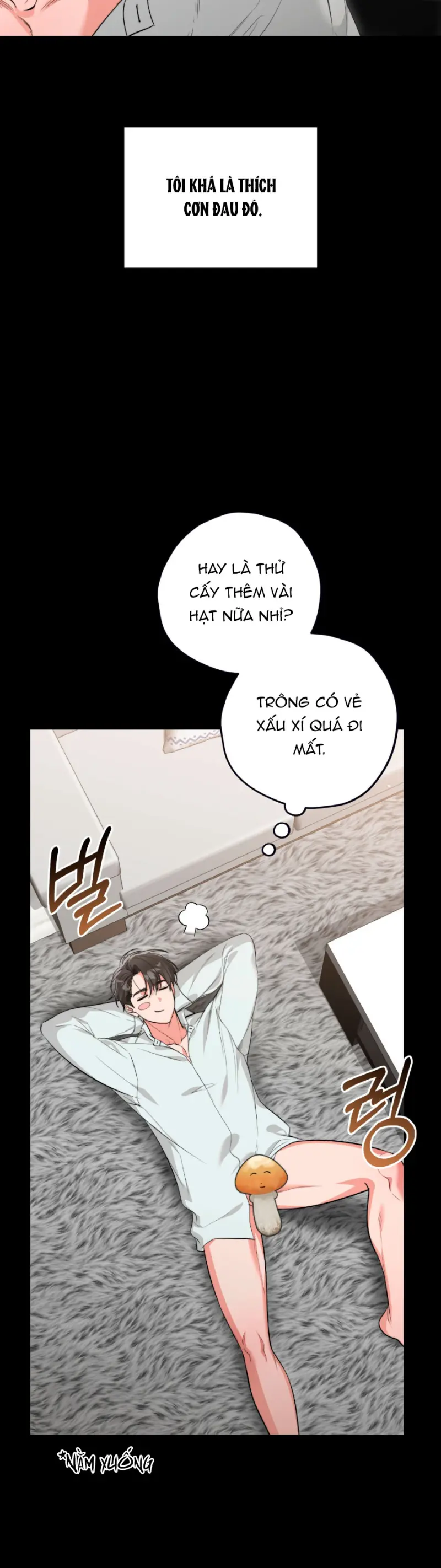 HÃY ĐÁNH TÔI THẬT MẠNH ĐI Chapter 1 - Trang 2