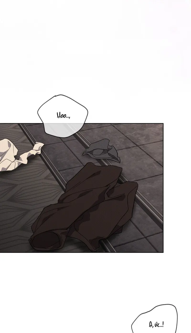 NGUỒN GỐC TIẾN HÓA Chapter 26 - Next Chapter 27