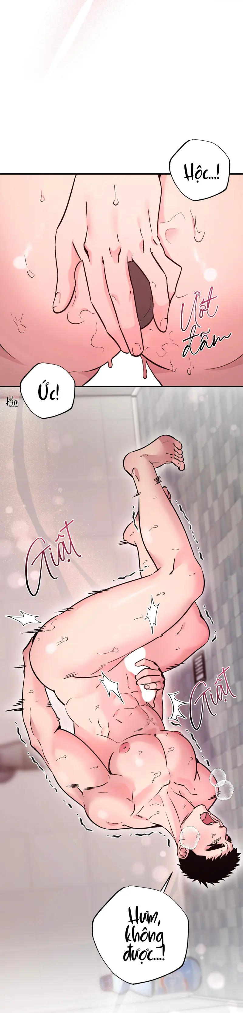 TUYỂN TẬP NHẤT THỤ ĐA CÔNG CỦA NHÀ KIM Chapter 49.5 hội viên 5 - Trang 2