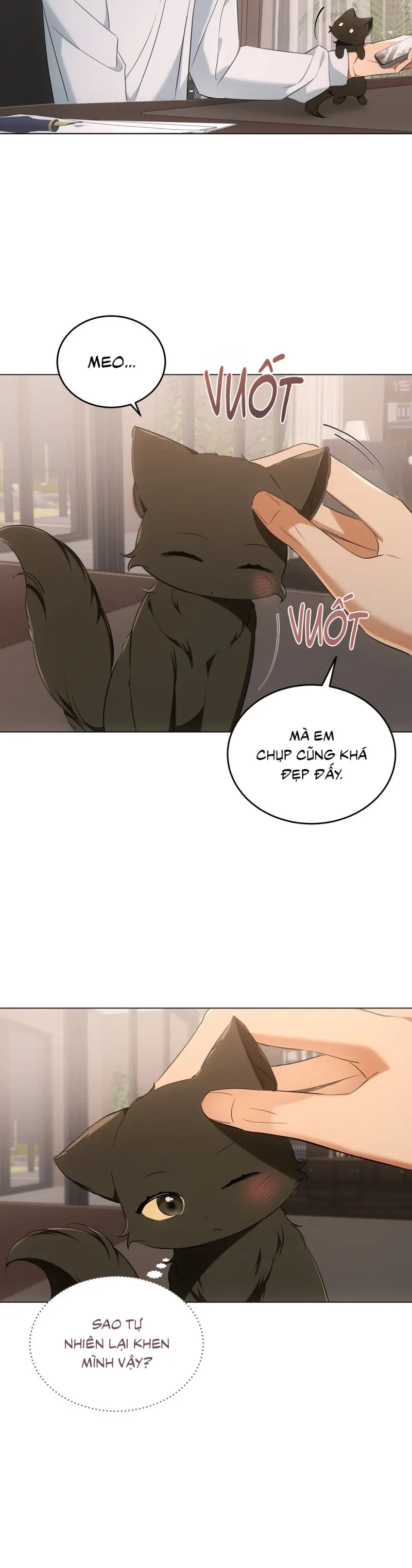 LIỆU PHÁP TRỊ LIỆU MÈO Chapter 10 - Trang 2