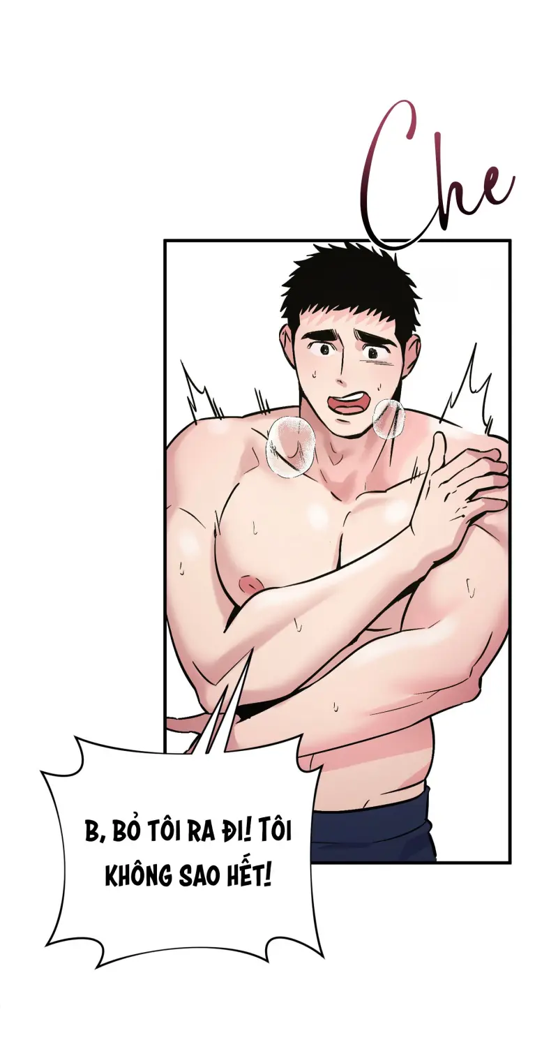 TUYỂN TẬP NHẤT THỤ ĐA CÔNG CỦA NHÀ KIM Chapter 49.5 hội viên 5 - Trang 2