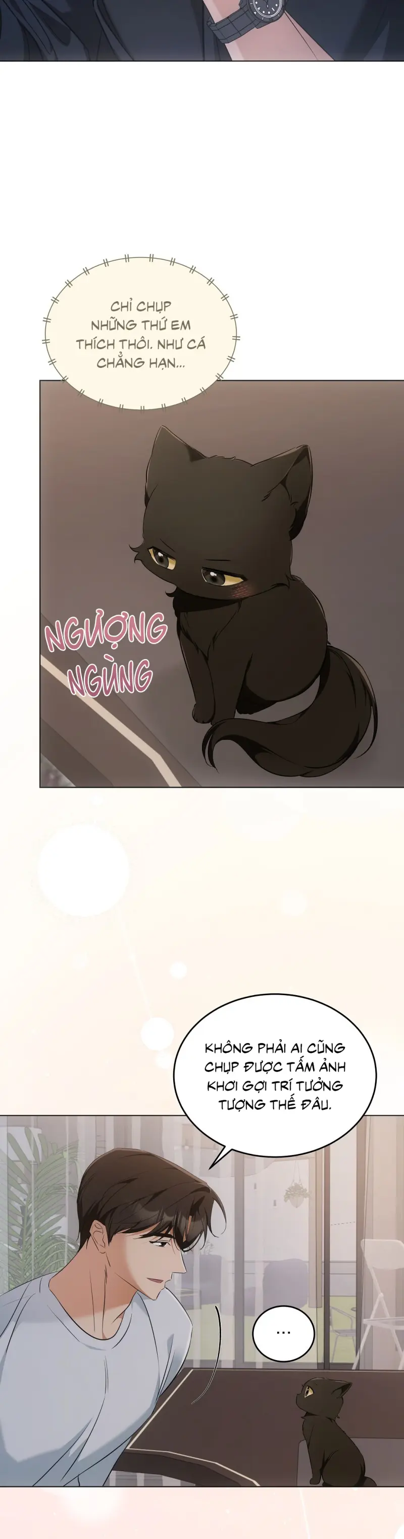 LIỆU PHÁP TRỊ LIỆU MÈO Chapter 10 - Trang 2