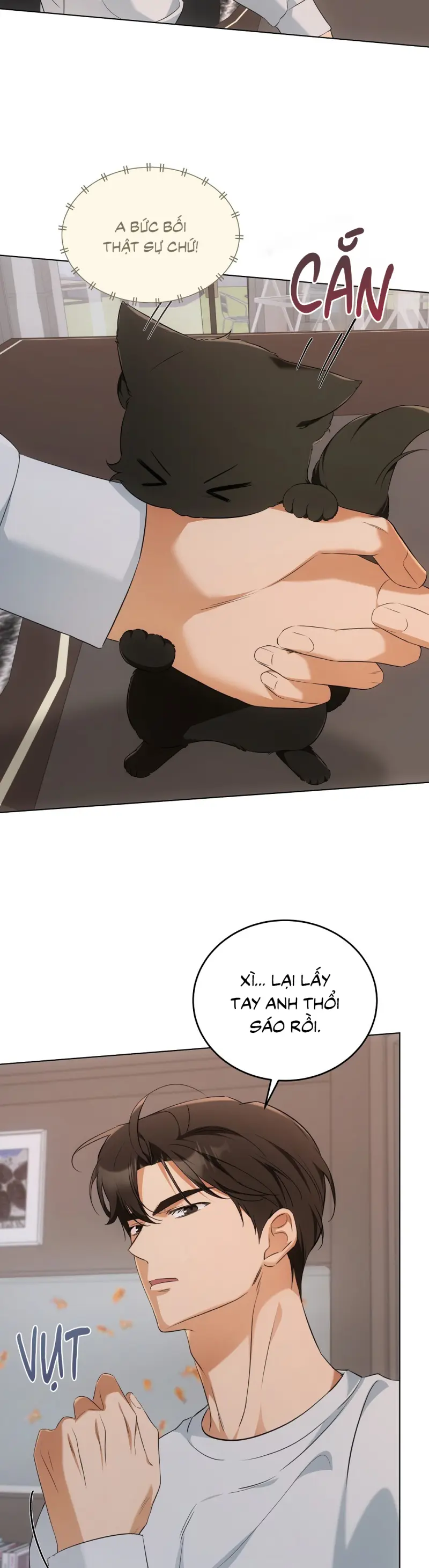 LIỆU PHÁP TRỊ LIỆU MÈO Chapter 10 - Trang 2