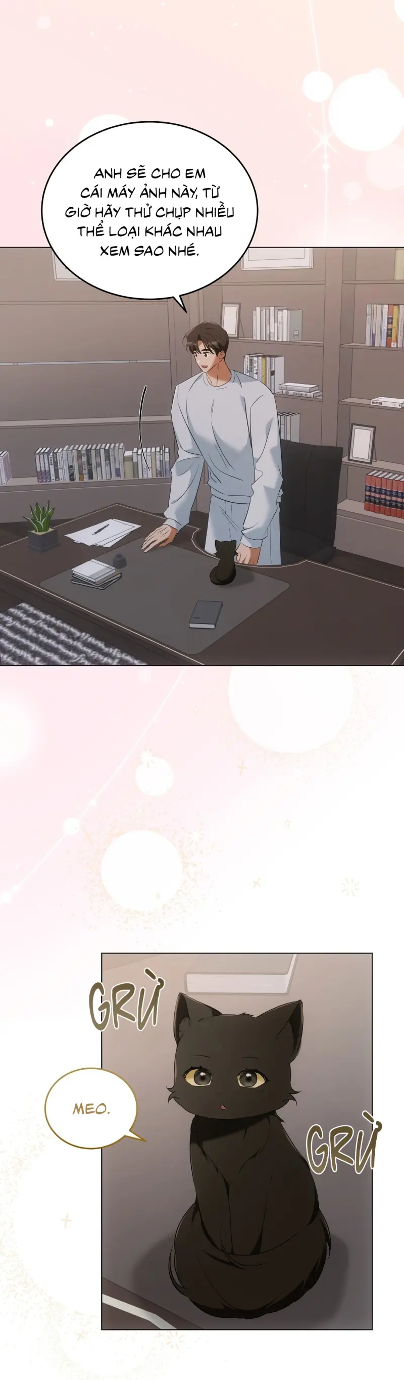LIỆU PHÁP TRỊ LIỆU MÈO Chapter 10 - Trang 2