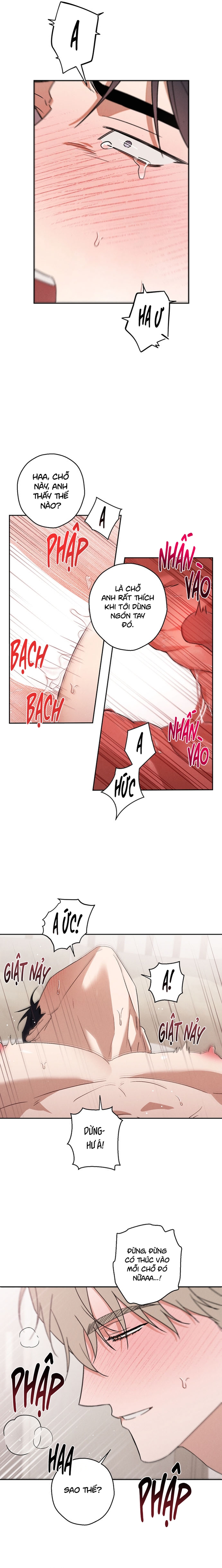 Idol Complex Chapter 3 H+ - Trang 2